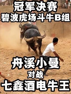 斗牛牛视频在线观看,在线观看，激情四溢的竞技对决