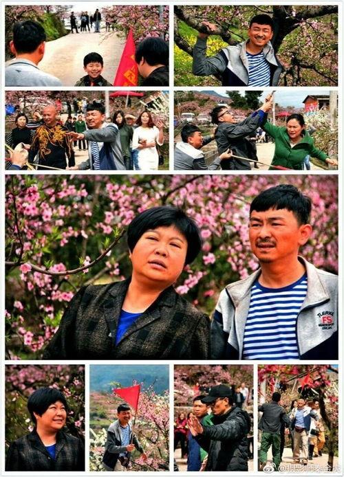 张家后人独家爆料视频